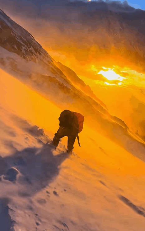 住这都第几个热搜了澳门新葡京网站禁不(图11)