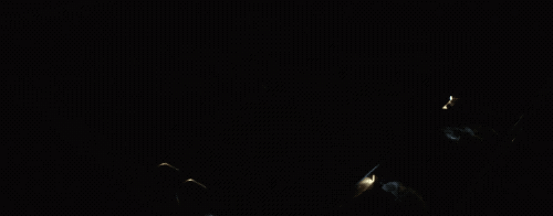 住这都第几个热搜了澳门新葡京网站禁不(图12)