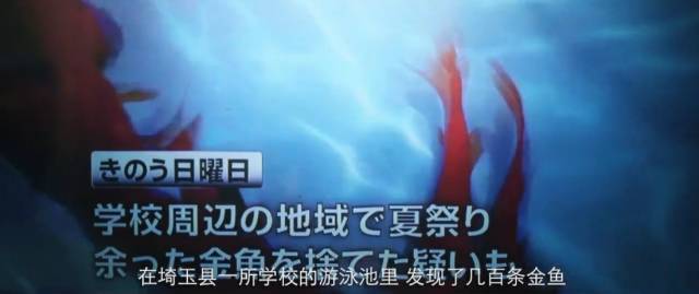 住这都第几个热搜了澳门新葡京网站禁不(图18)