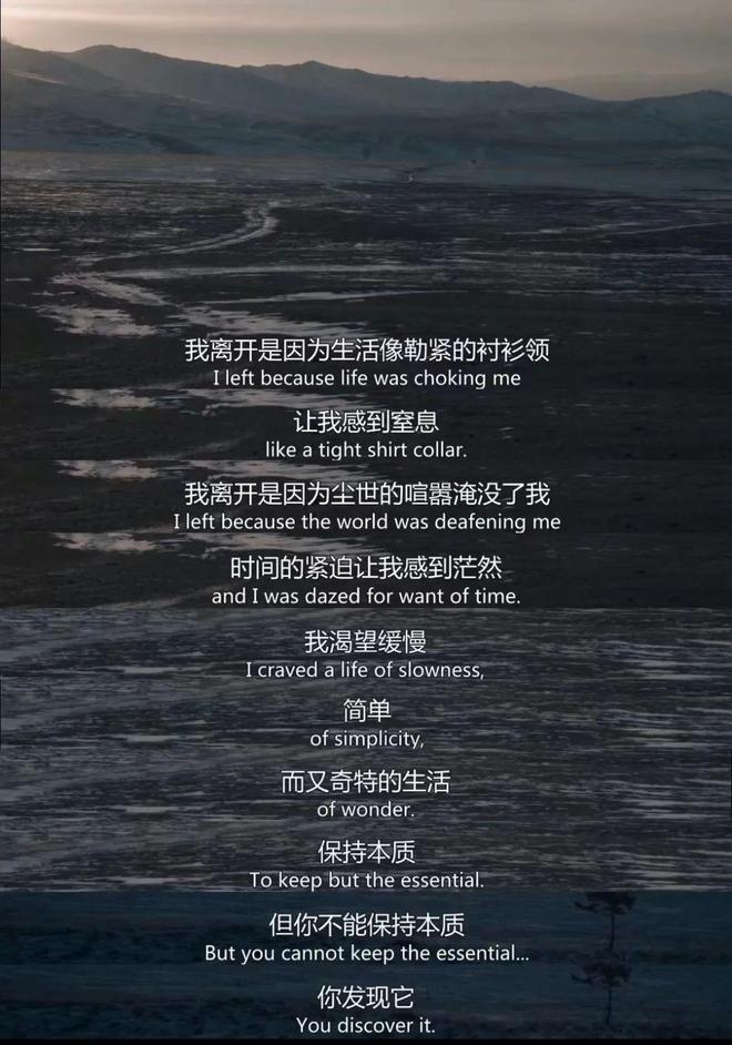 住这都第几个热搜了澳门新葡京网站禁不(图22)