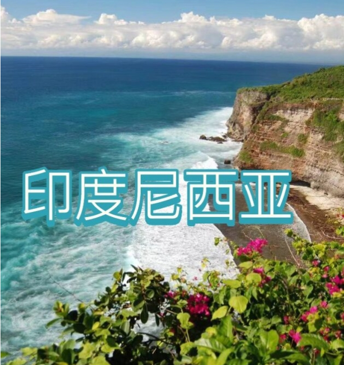 电商(印尼)产业博览会新葡京2025中国国际