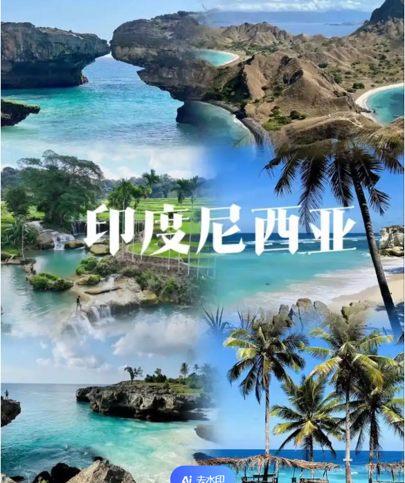 电商(印尼)产业博览会新葡京2025中国国际(图3)